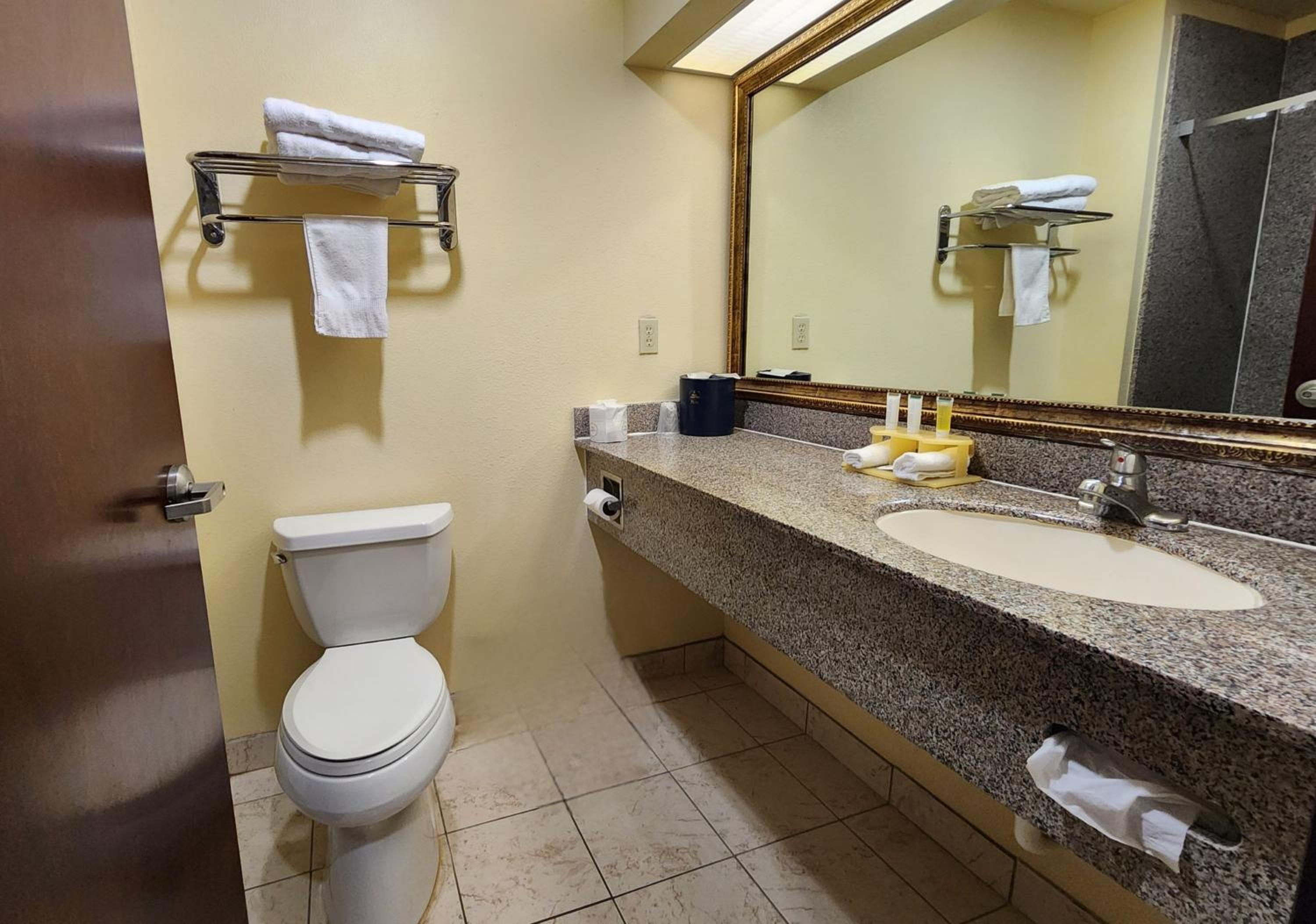 Deluxe King Room - Non-Smoking - Photo 7