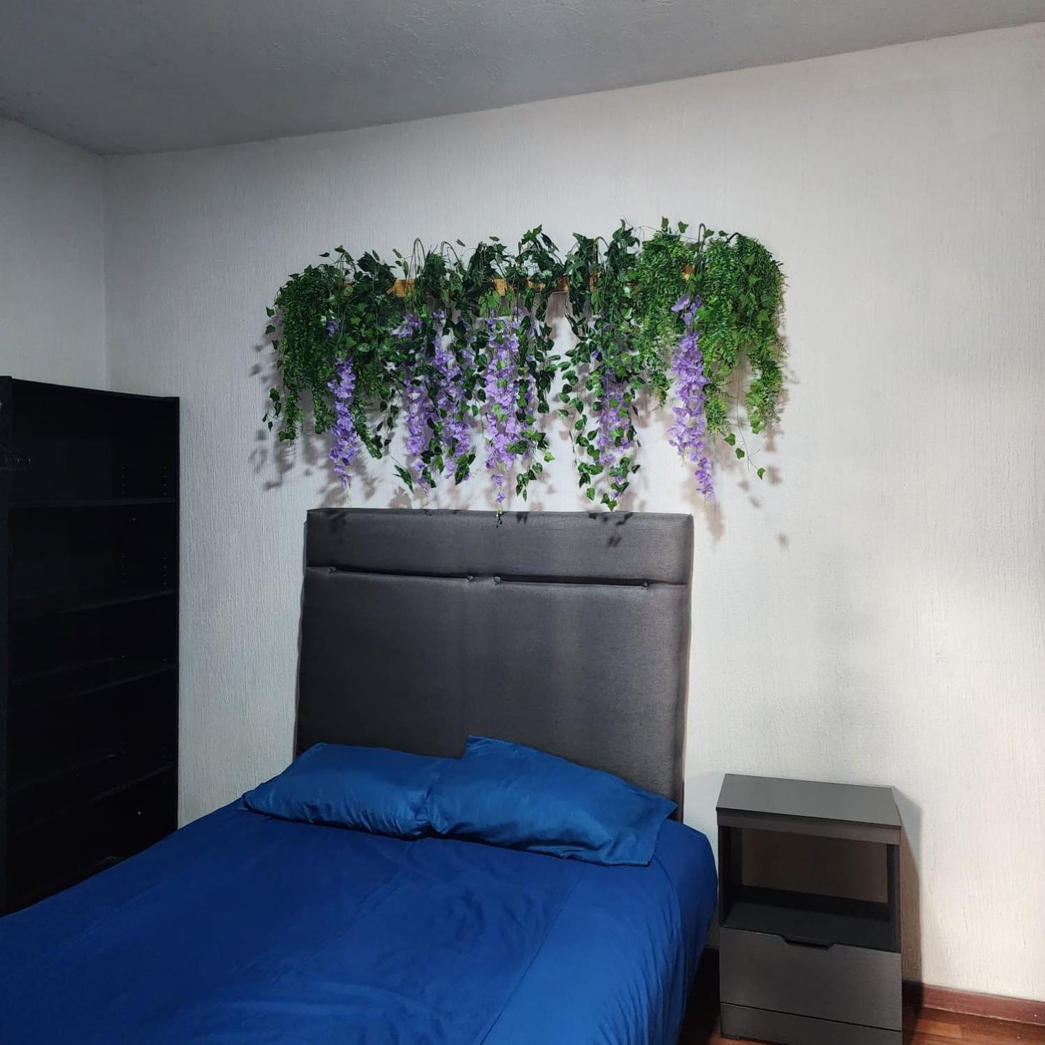 Double Room with Shared Bathroom photo 1