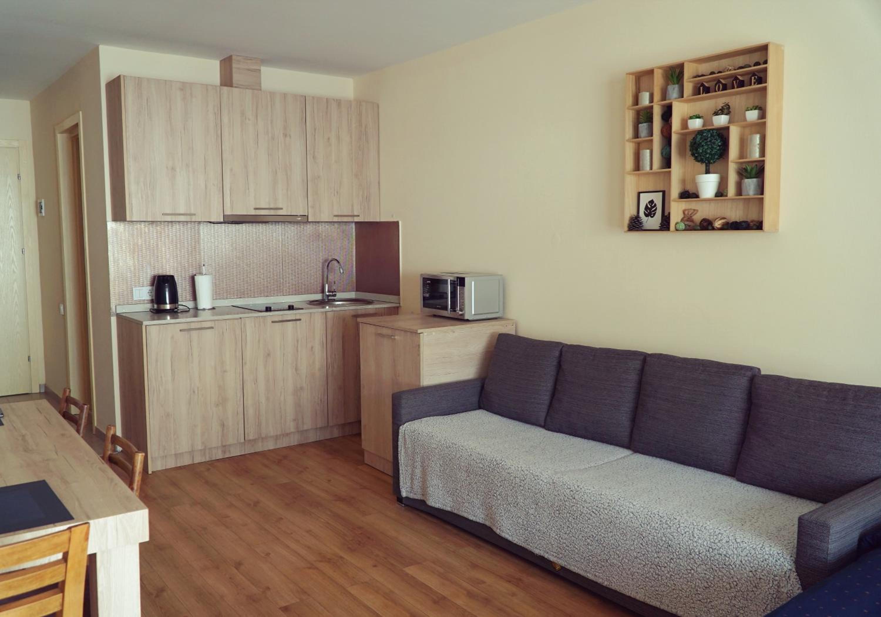 One-Bedroom Apartment photo 3