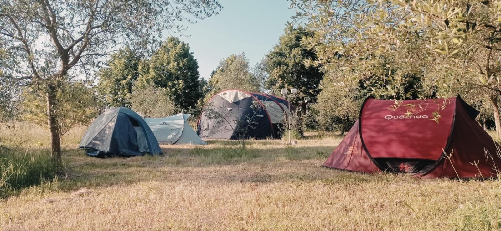 Tent photo 2