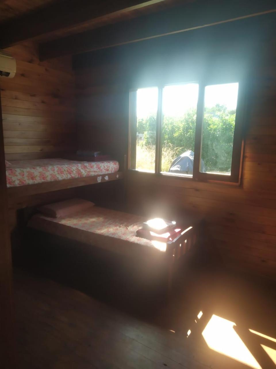 Three-Bedroom House photo 3