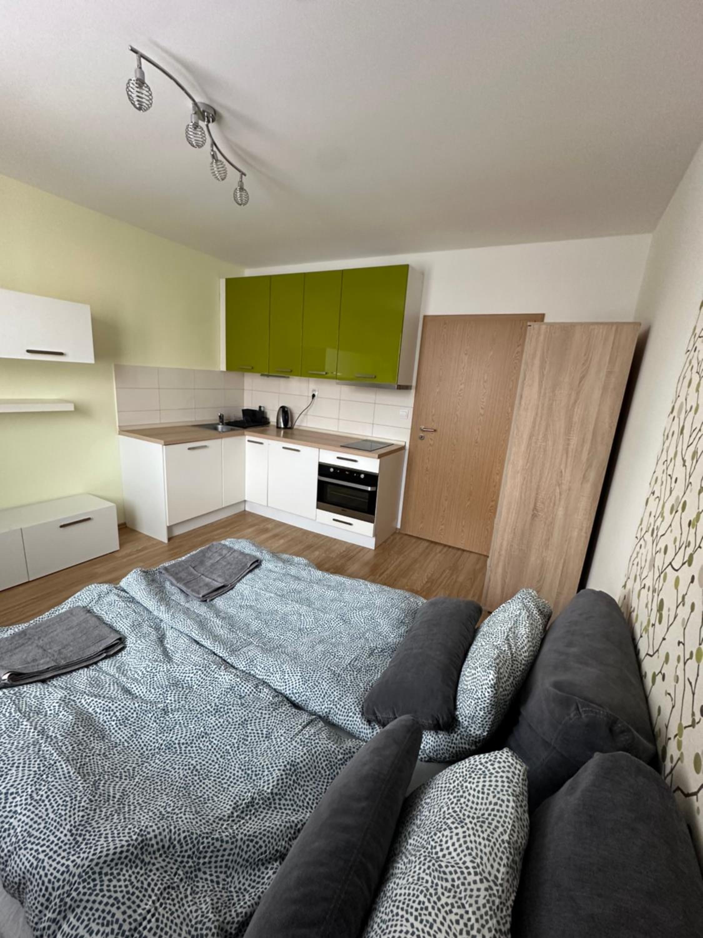 One-Bedroom Apartment photo 1