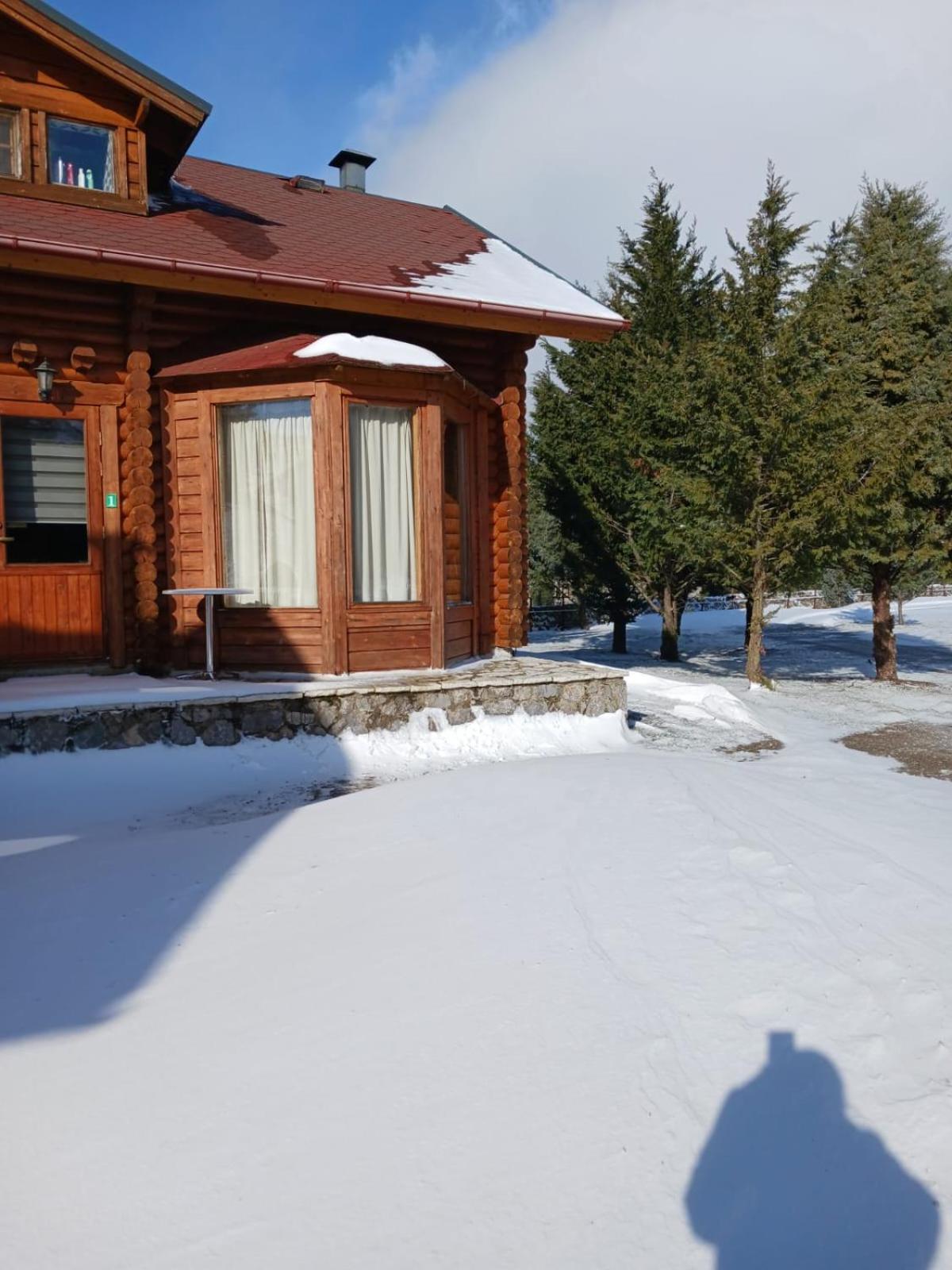 Two-Bedroom Chalet photo 3