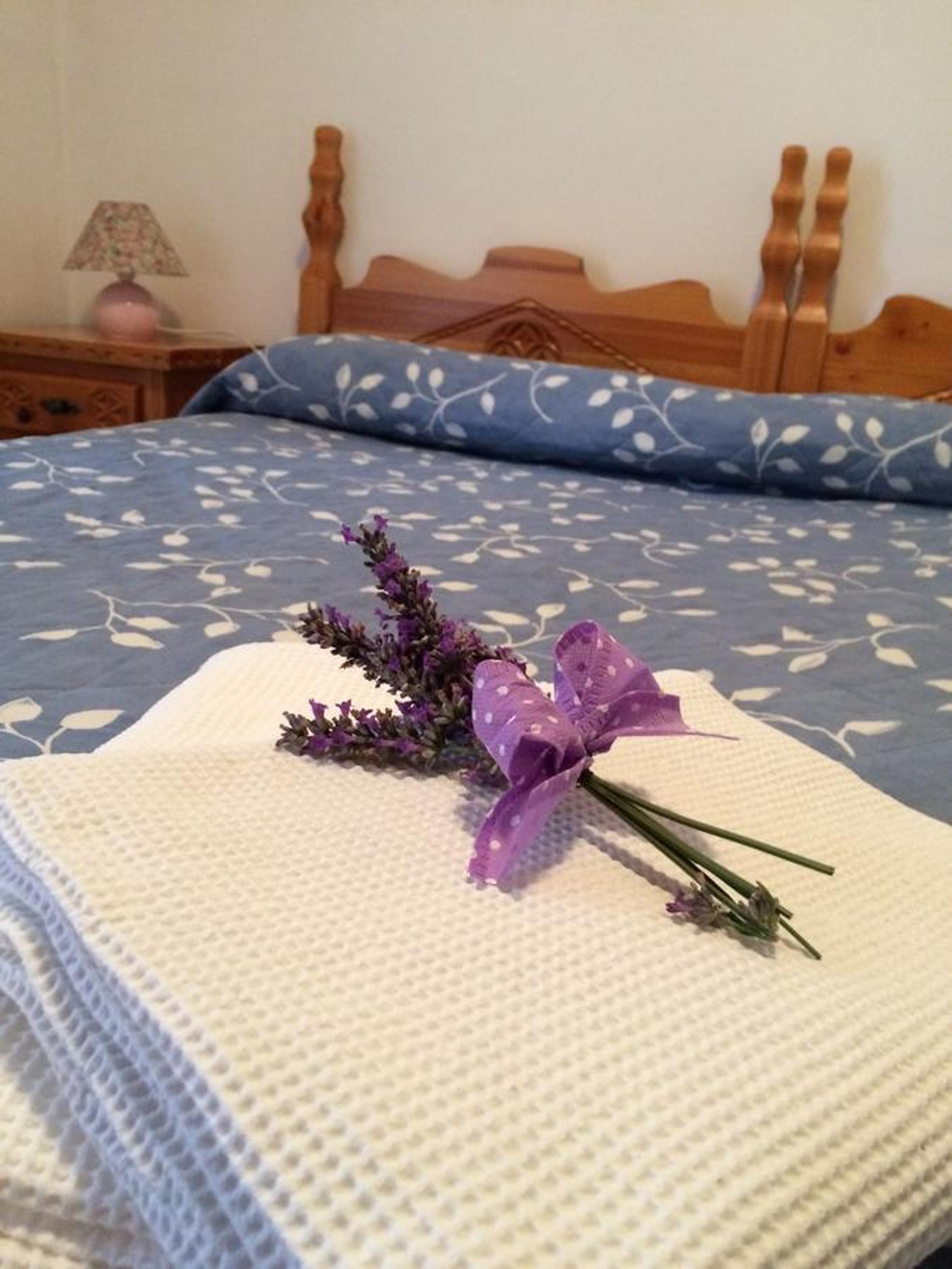 Two-Bedroom Apartment - Photo 1