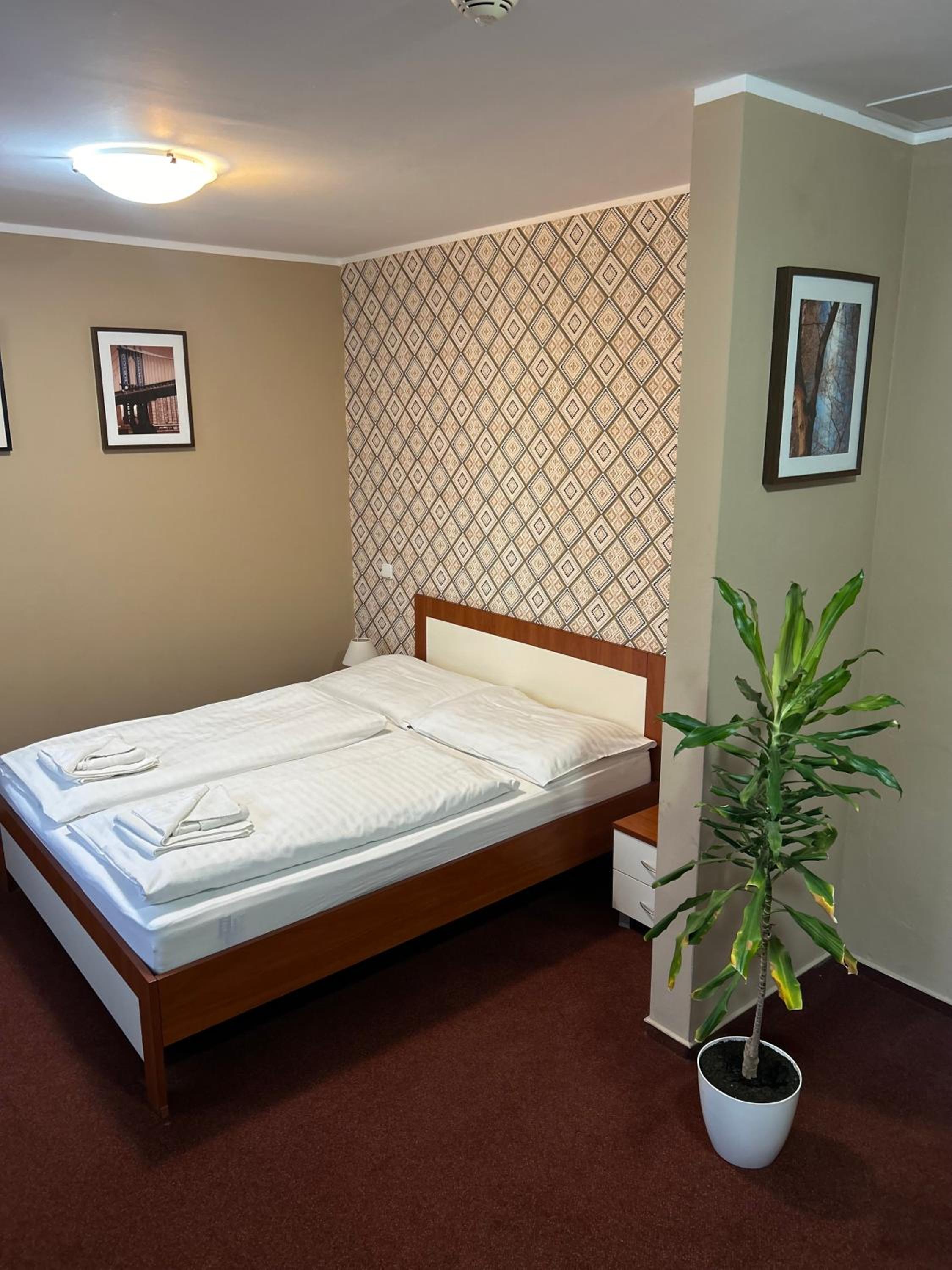 Double or Twin Room - Photo 4