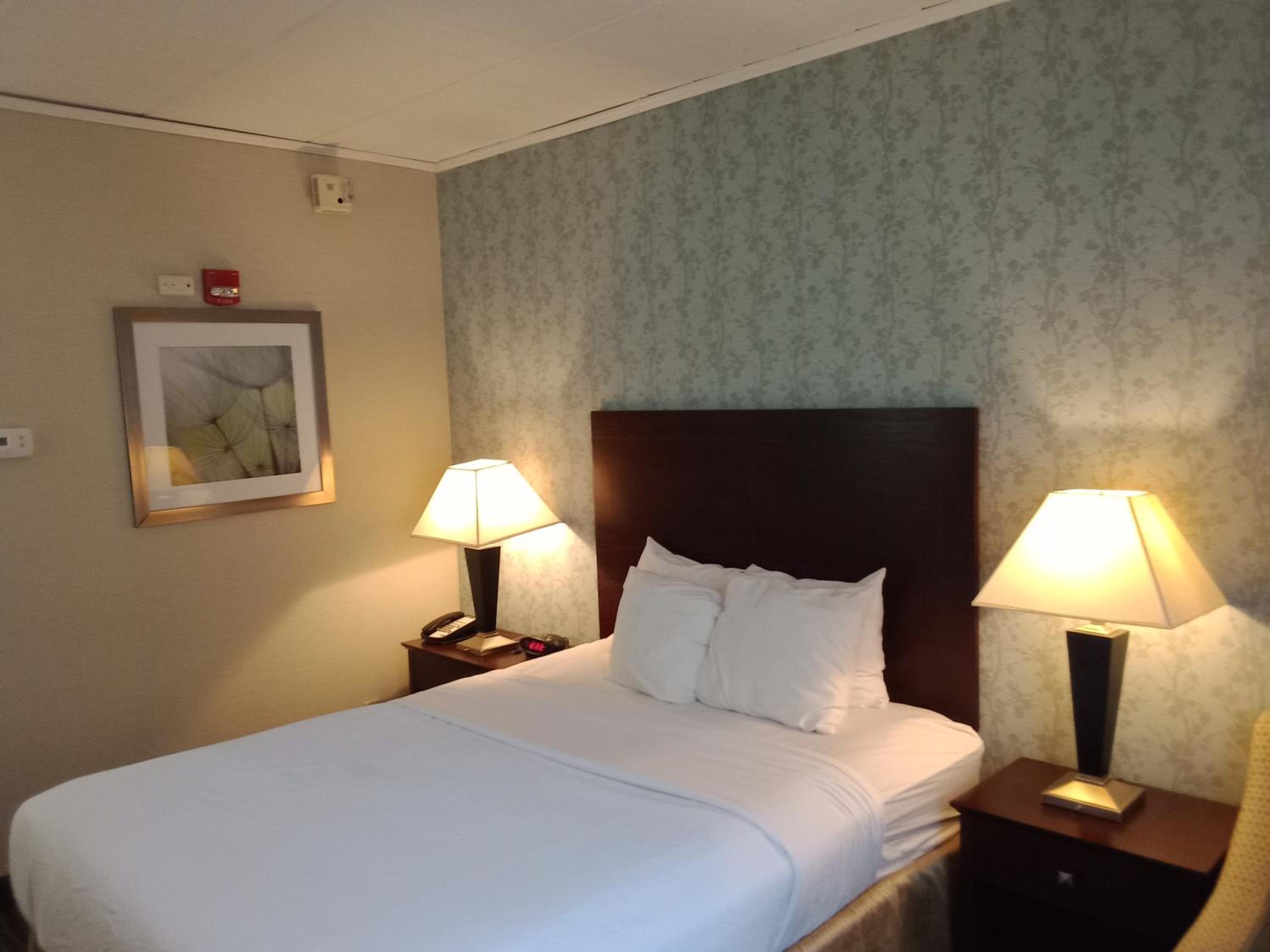 Queen Room - Disability Access photo 1