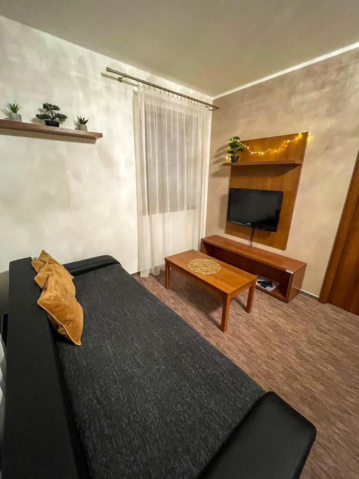One-Bedroom Apartment photo 3