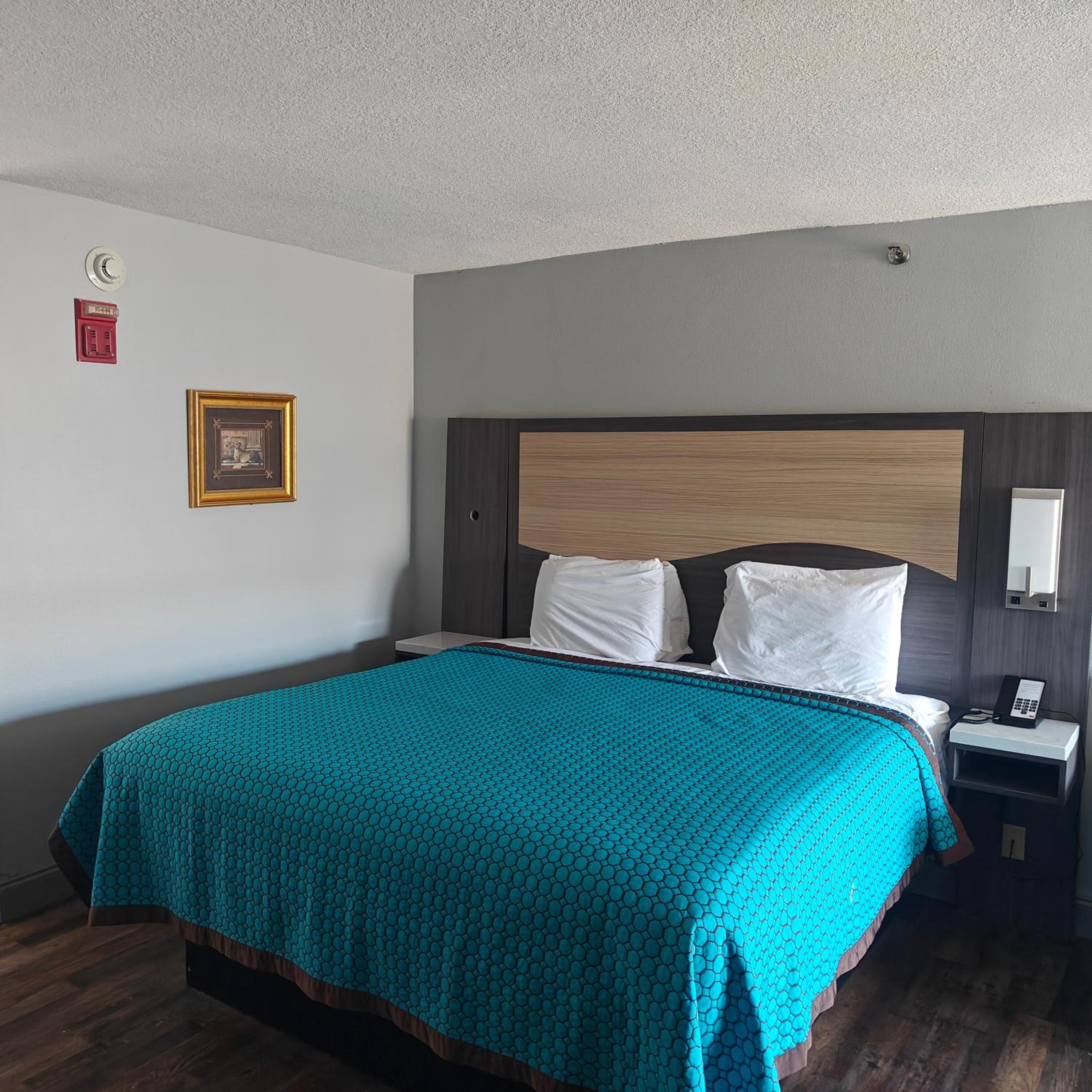 King Room photo 1