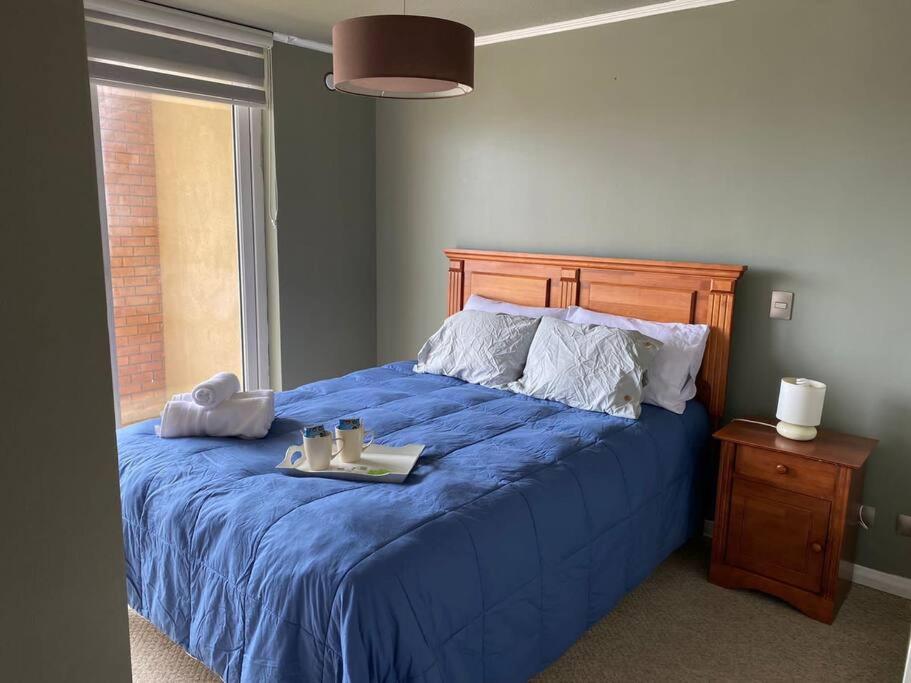 One-Bedroom Apartment photo 3