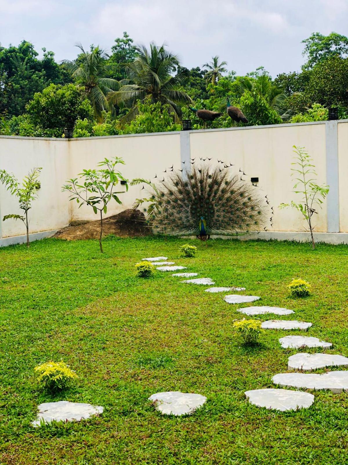 Double Room With Garden View photo 1