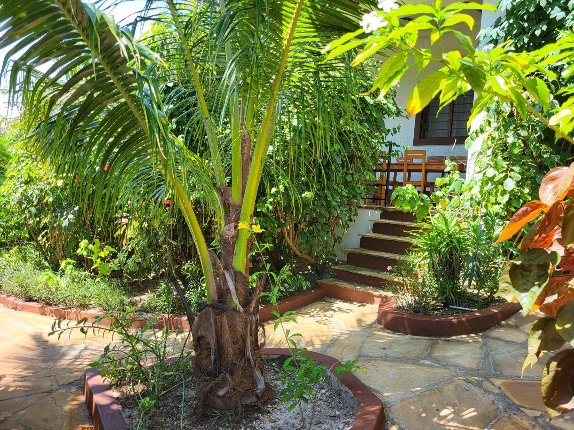 Two-Bedroom Villa - Photo 50
