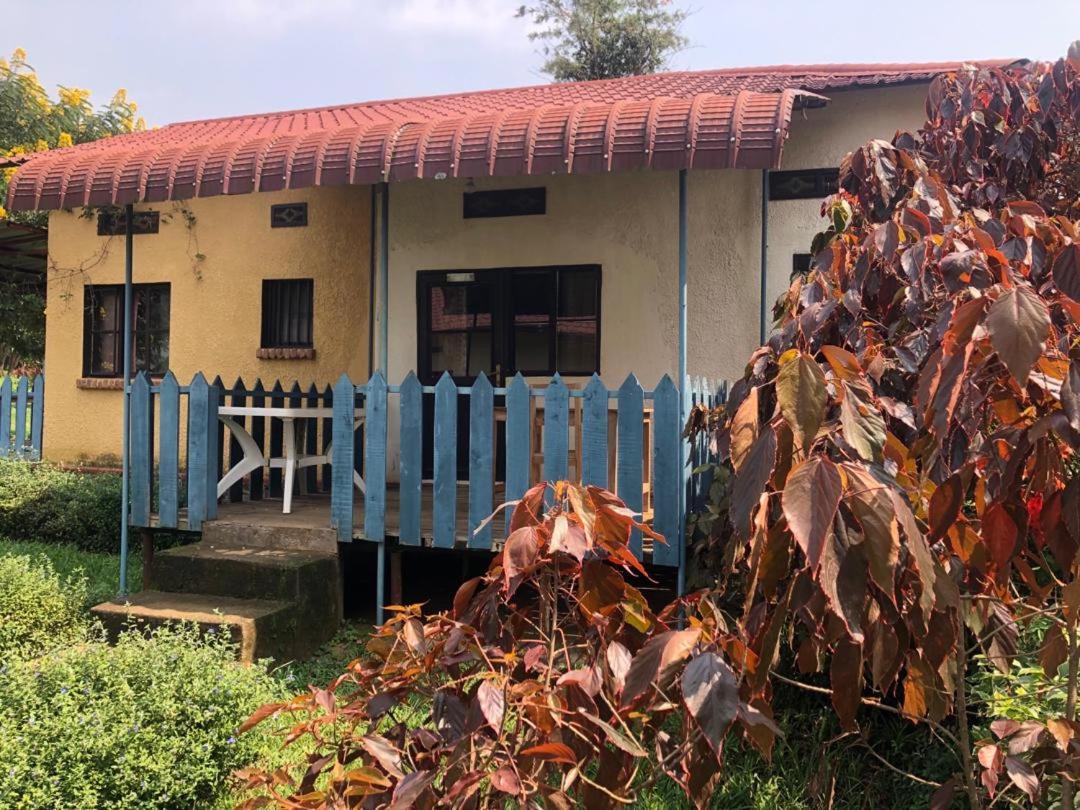 Family Bungalow photo 2