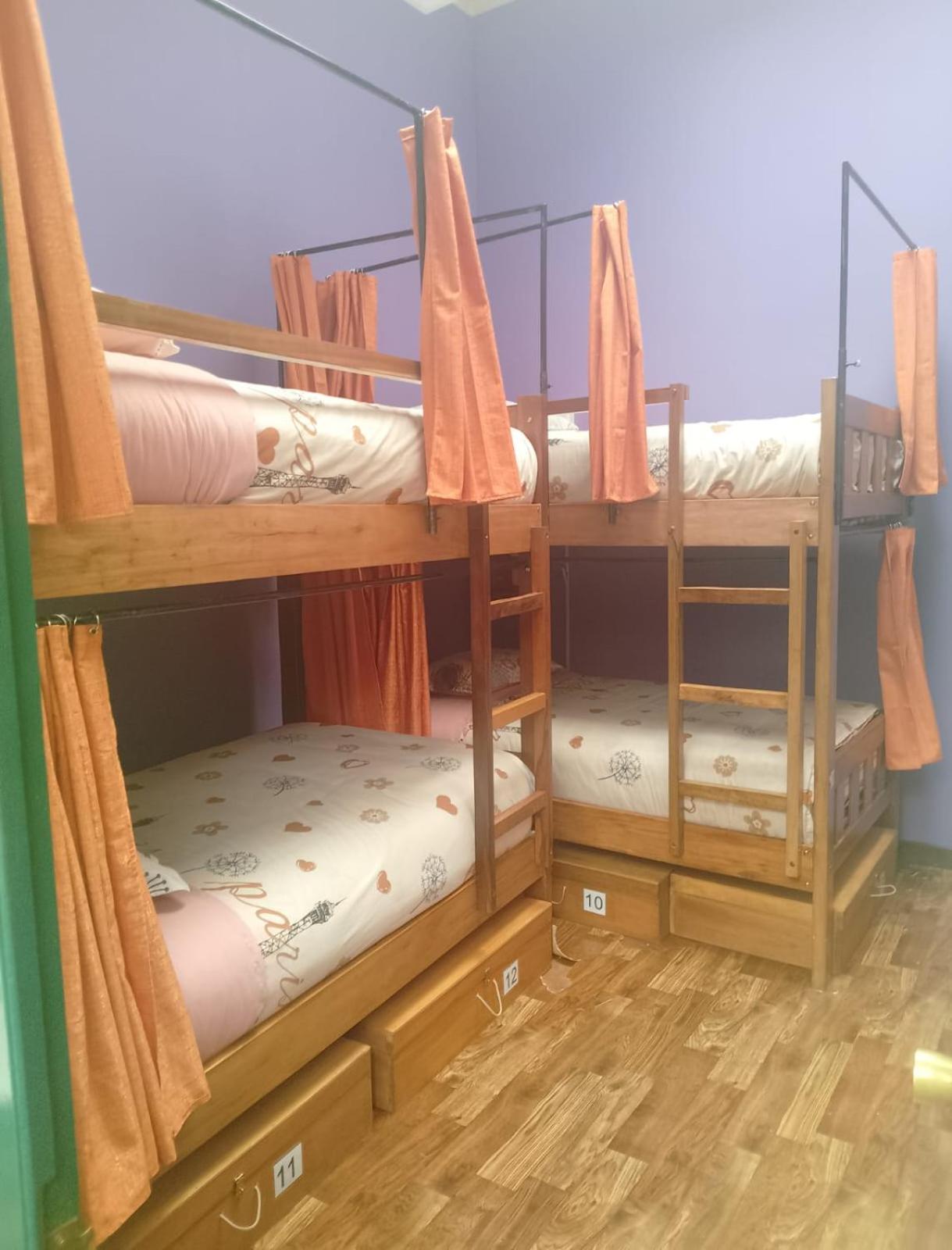Bed in 6-Bed Female Dormitory Room photo 1