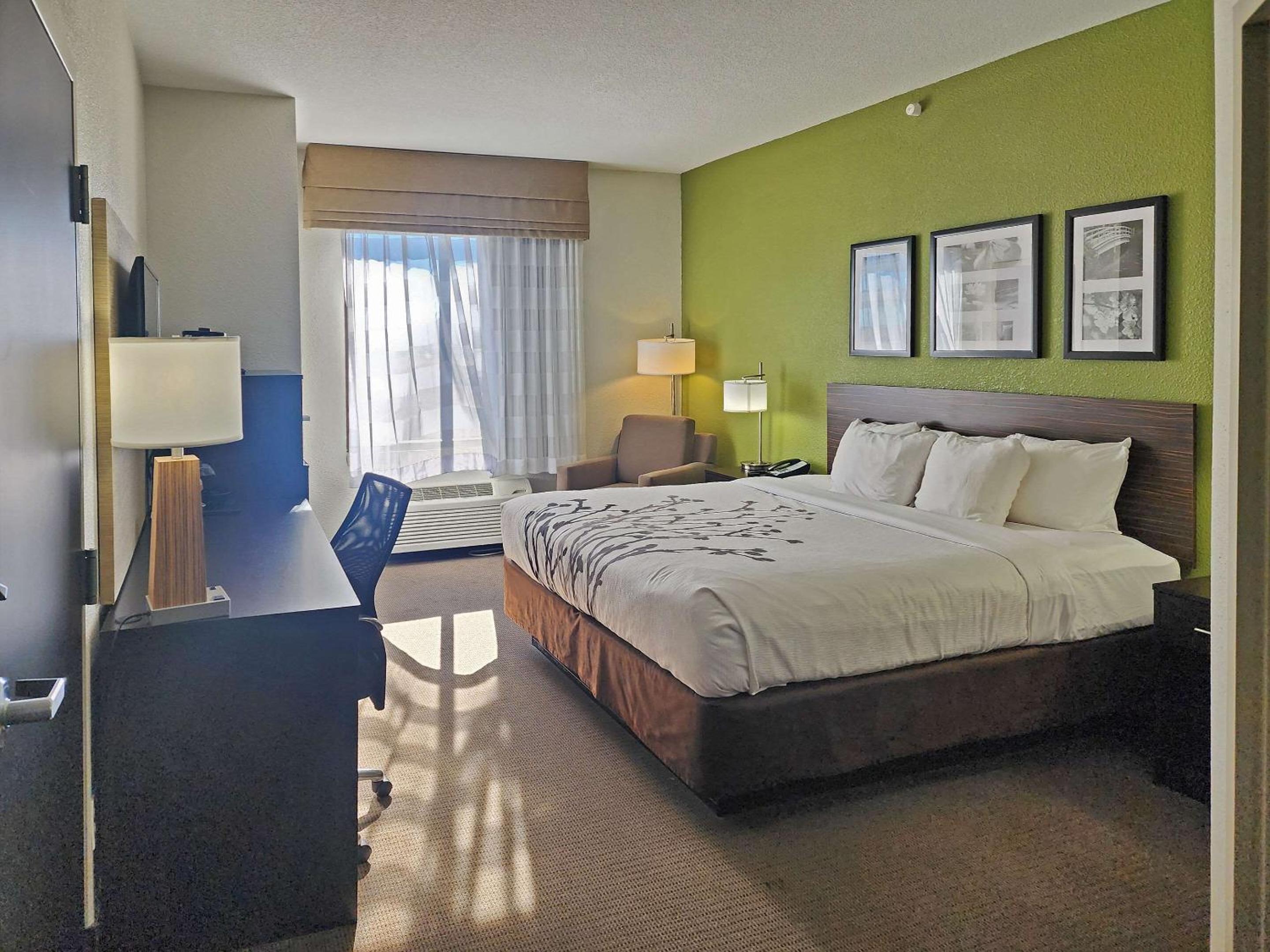 King Room