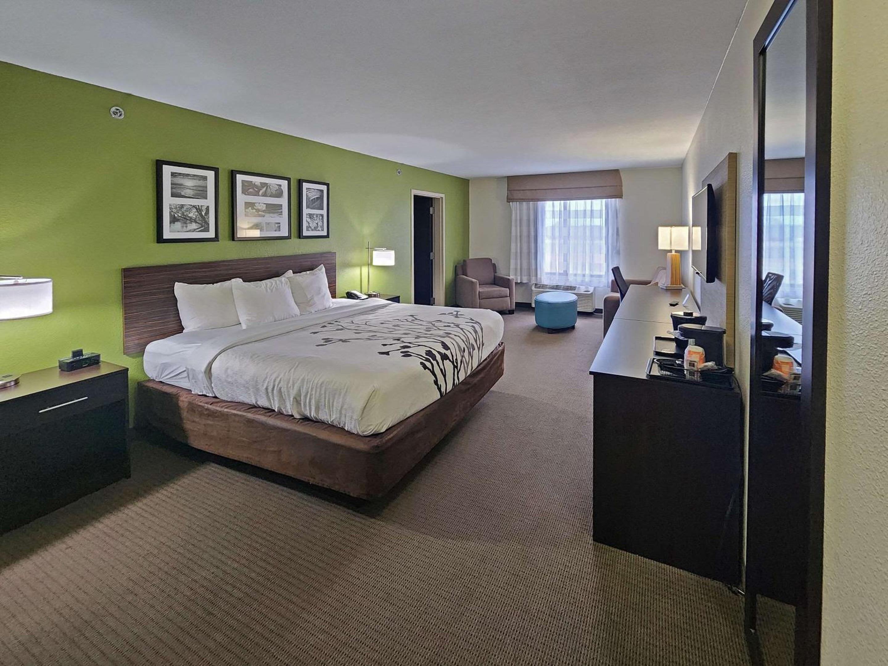 King Suite