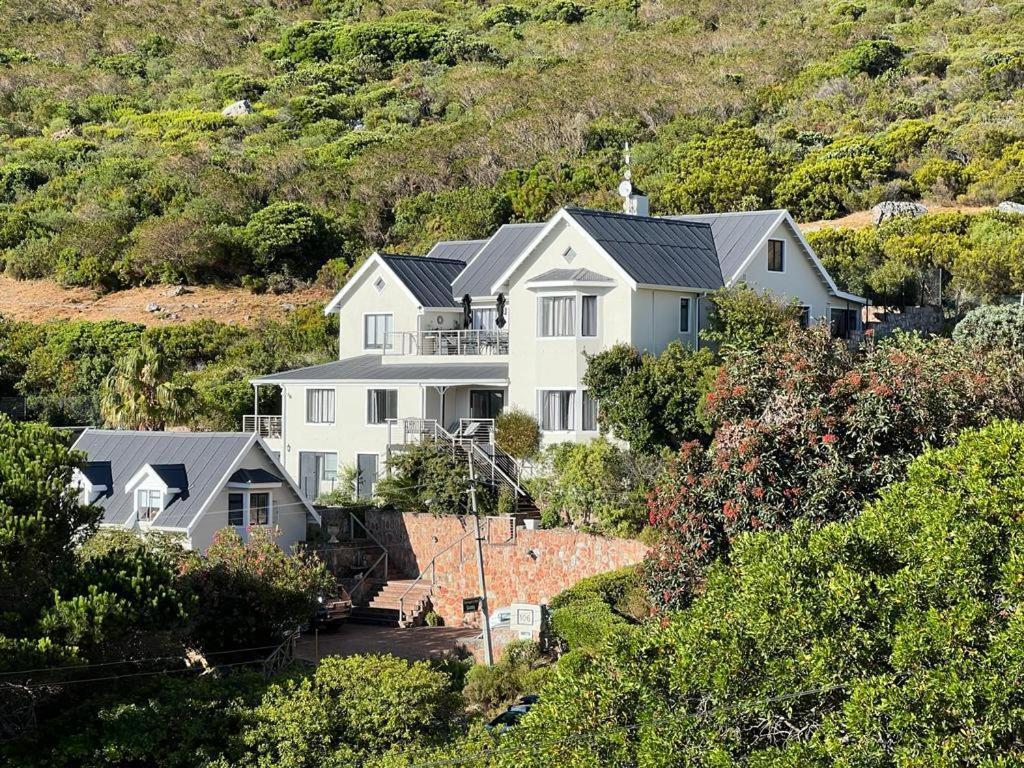 Luxury Villa photo 1