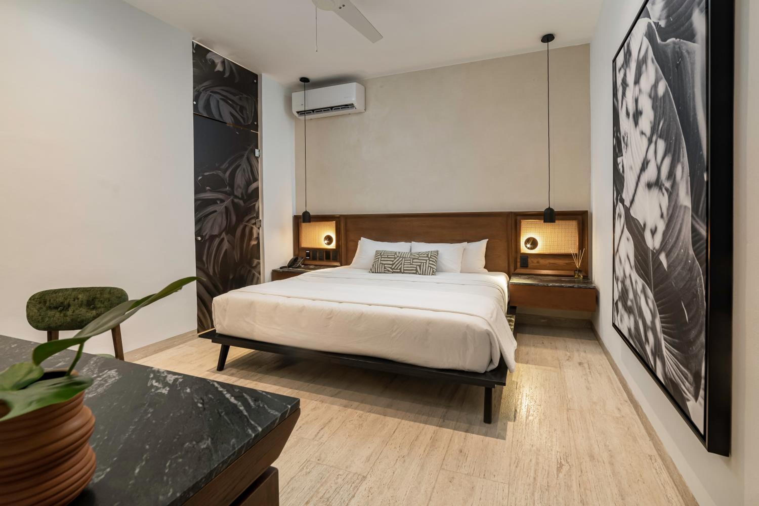 Standard Suite - Photo 4