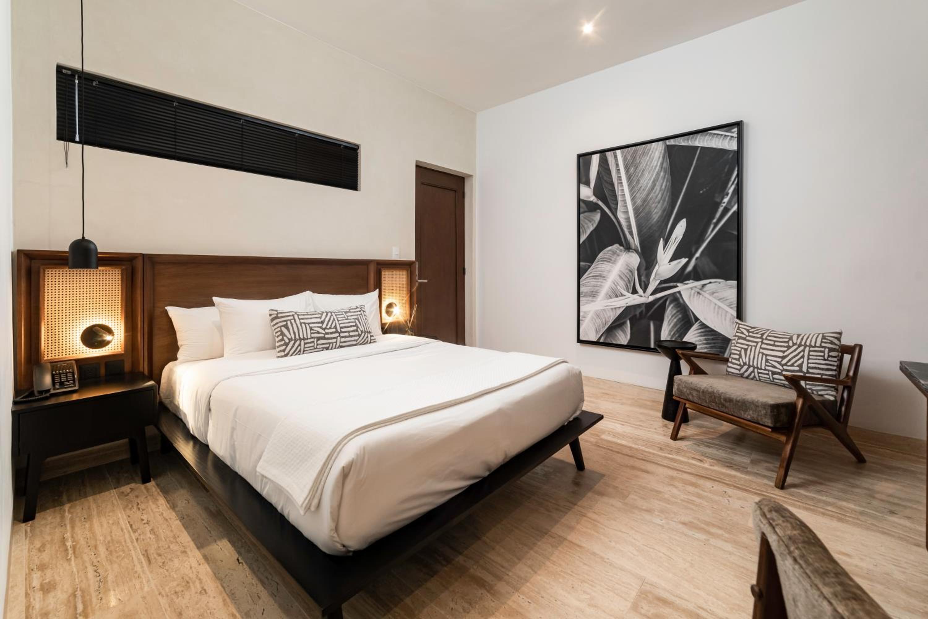 Superior Suite - Photo 4