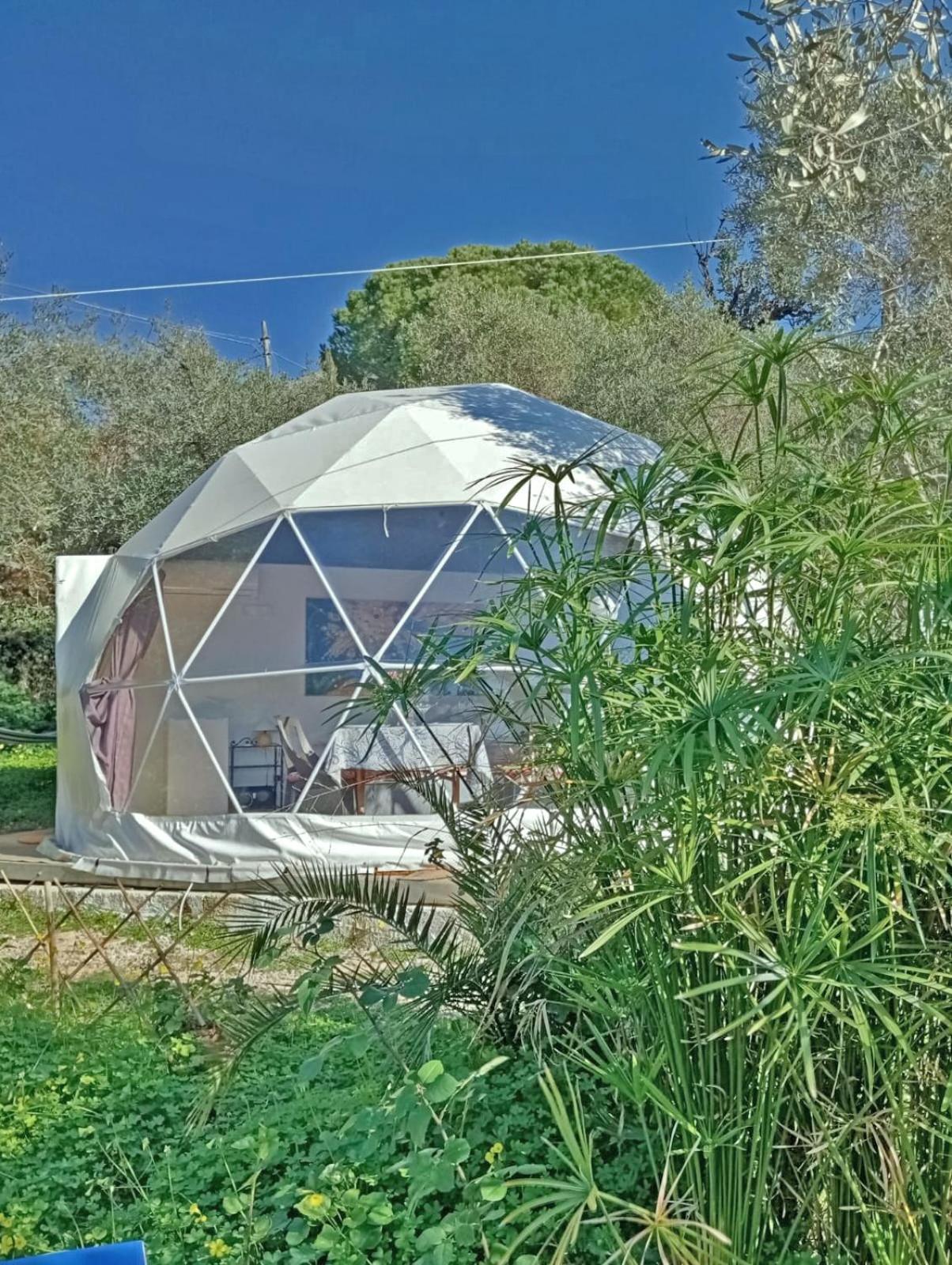 Tent photo 2