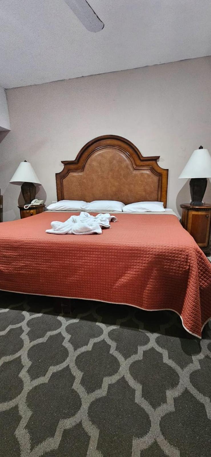 Superior Double Room photo 1