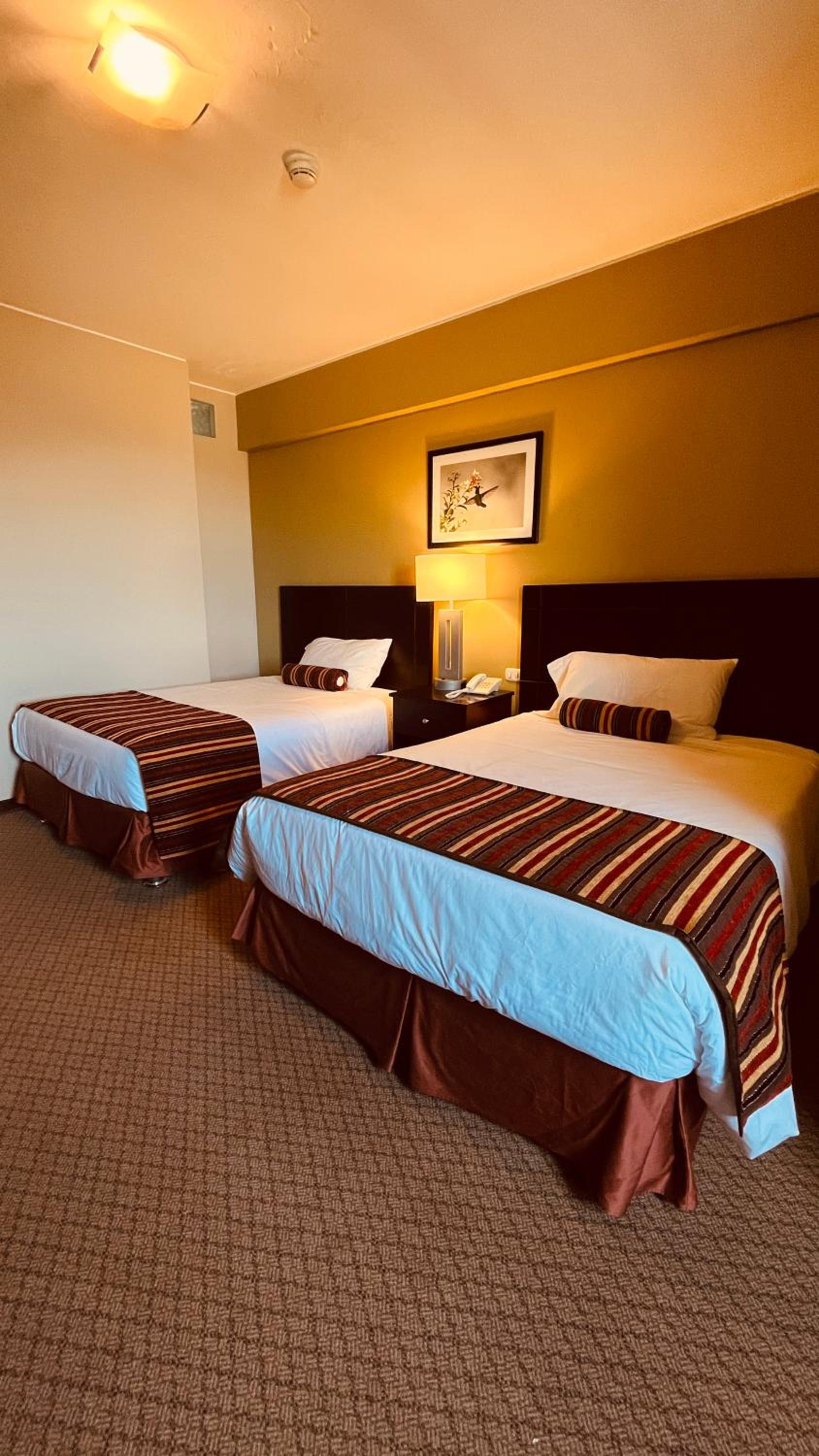 Queen Room with Two Queen Beds - Photo 7