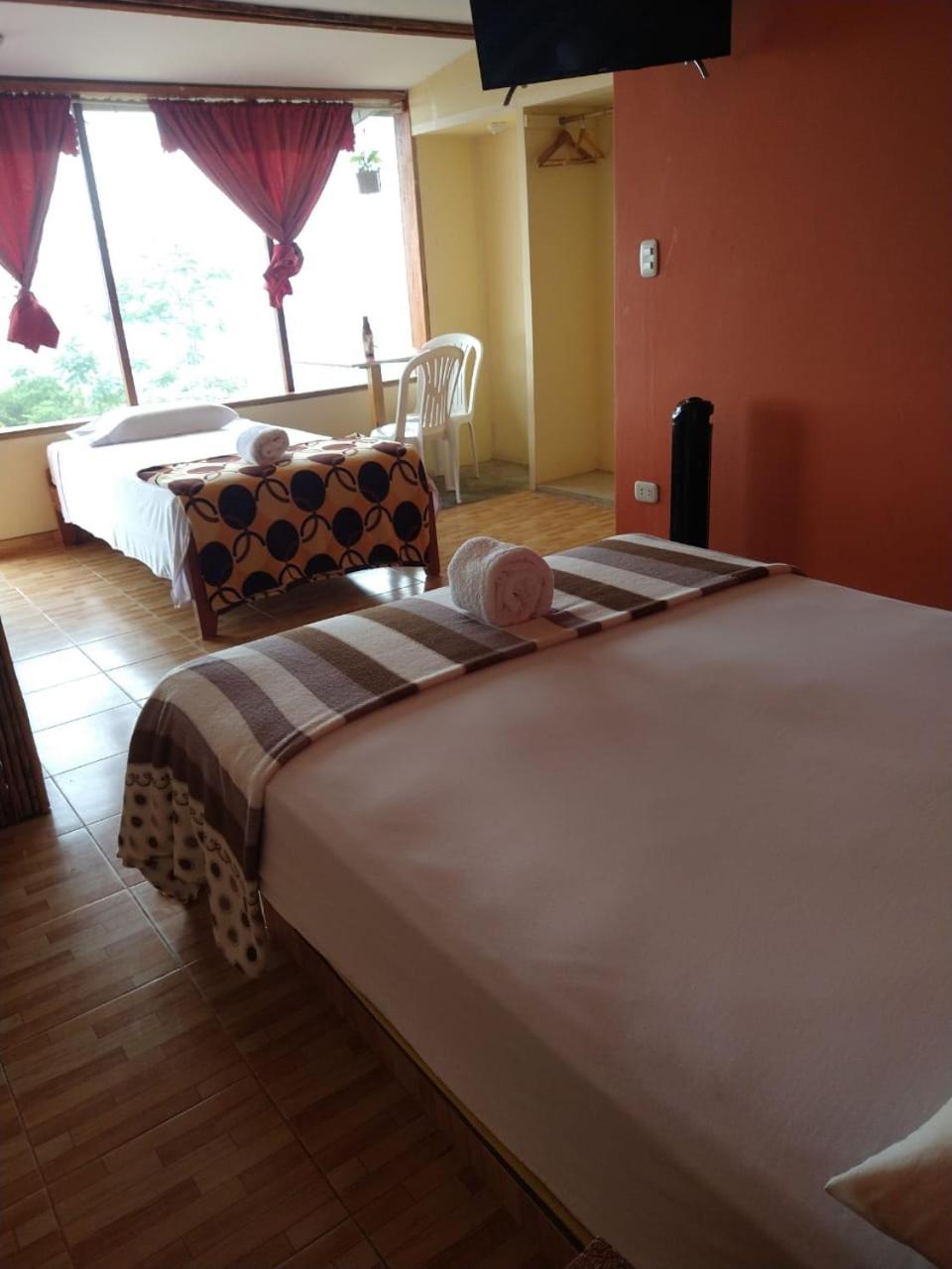 Twin Room photo 3