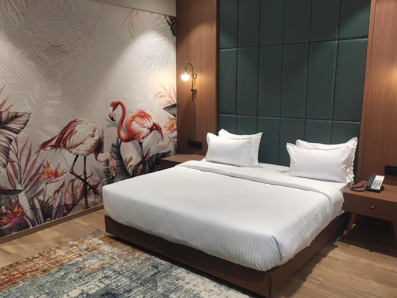 Suite - Photo 1
