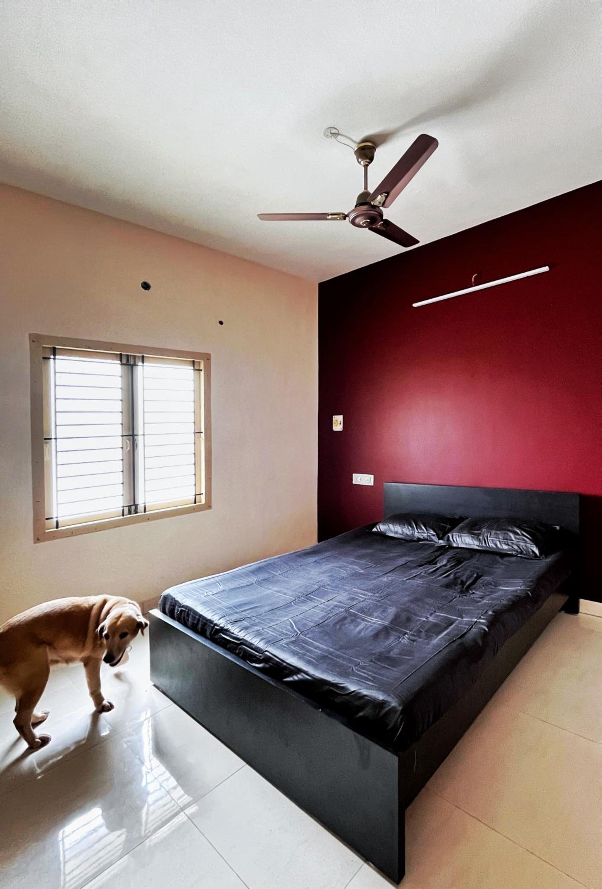 One-Bedroom House photo 2