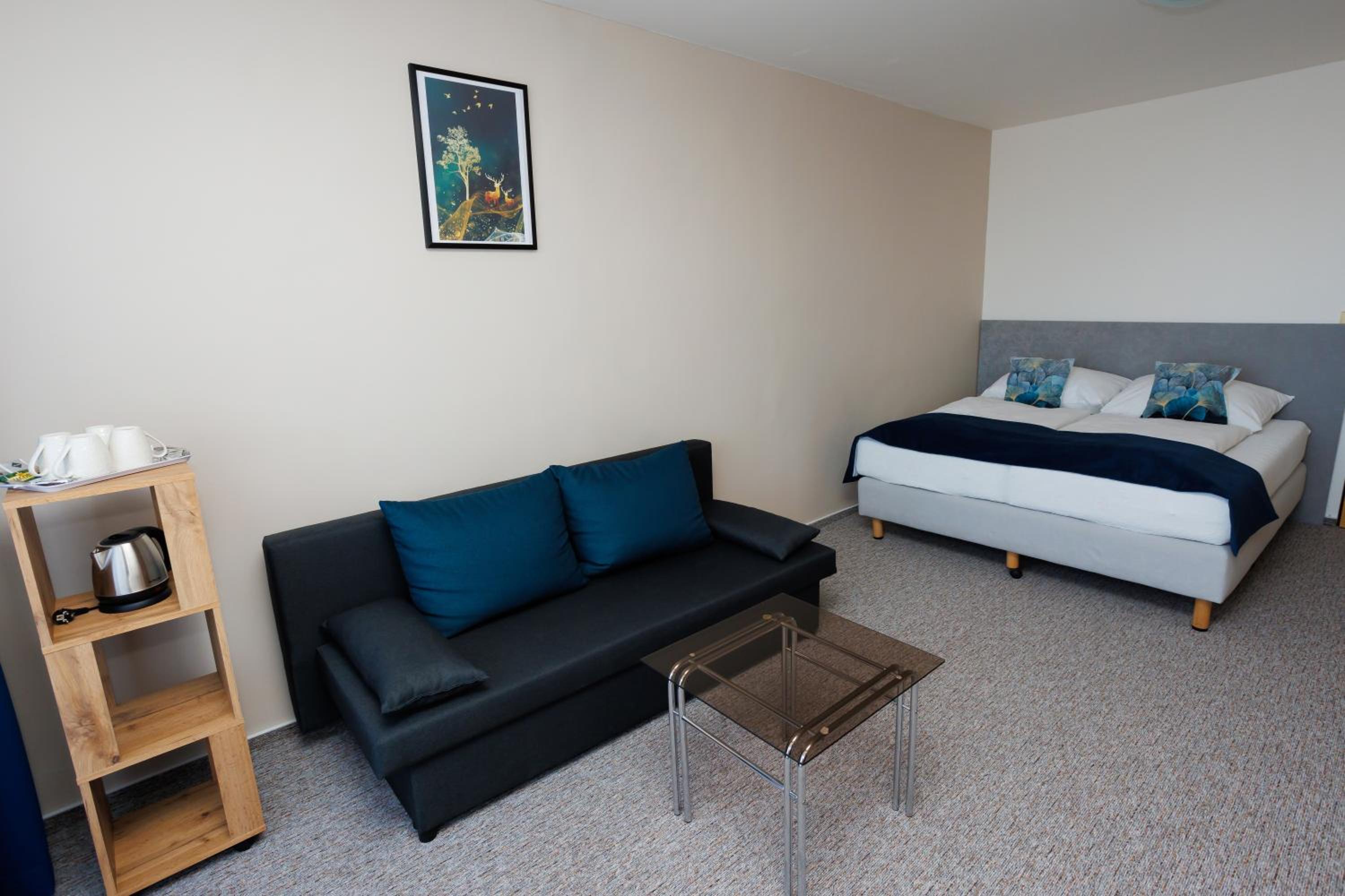 Superior Apartment - Photo 7