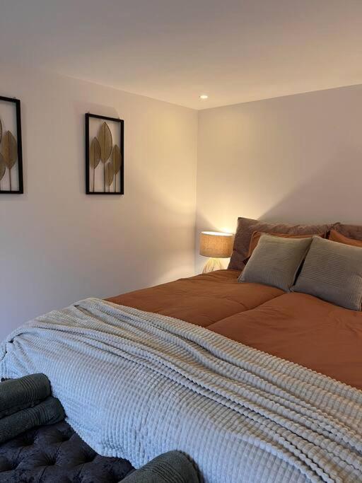 One-Bedroom Apartment photo 3