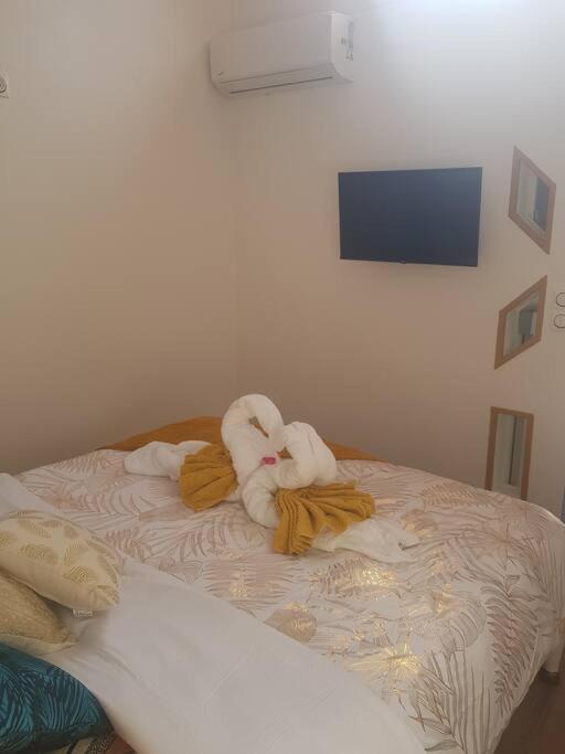 One-Bedroom House photo 1
