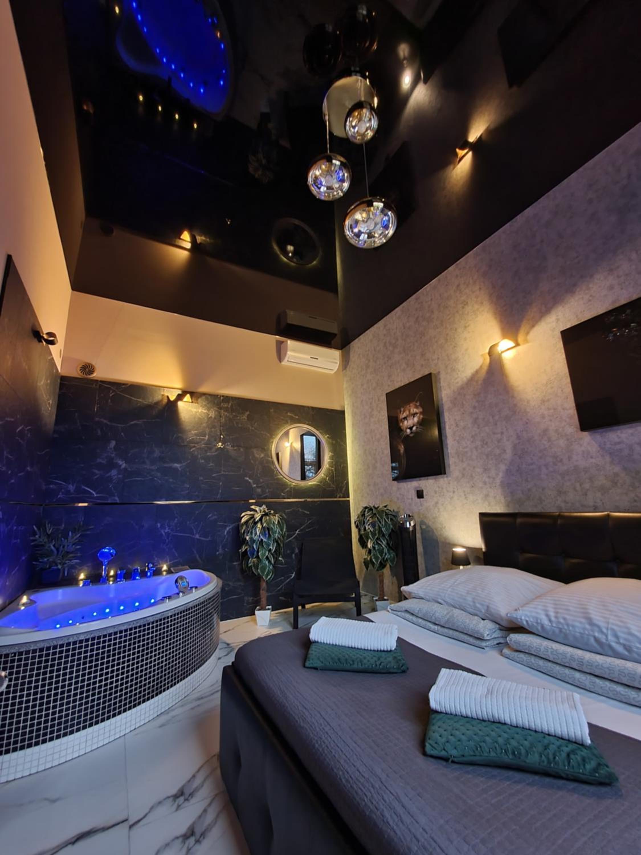 Deluxe Suite with Spa Bath photo 3