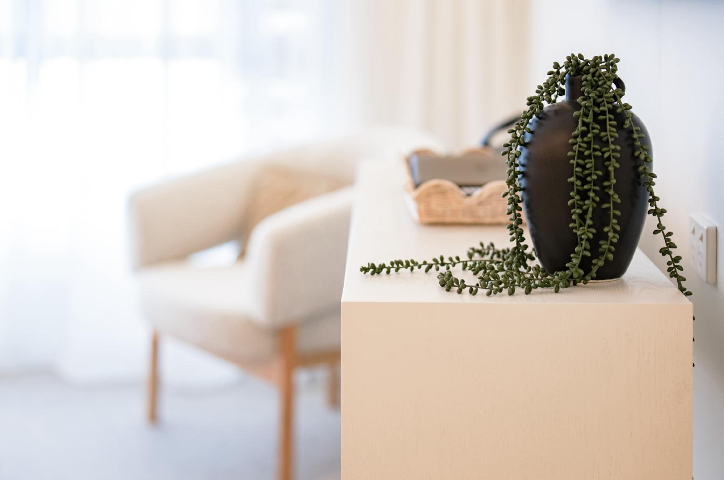 Studio Apartment - No Housekeeping photo 3