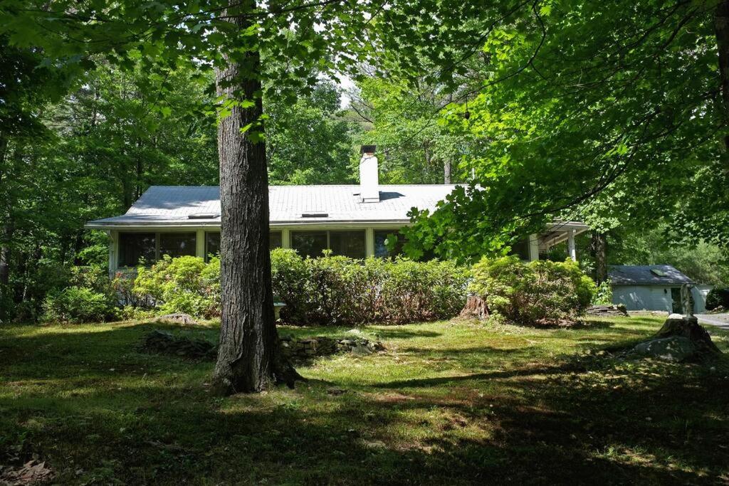 Three-Bedroom House photo 2
