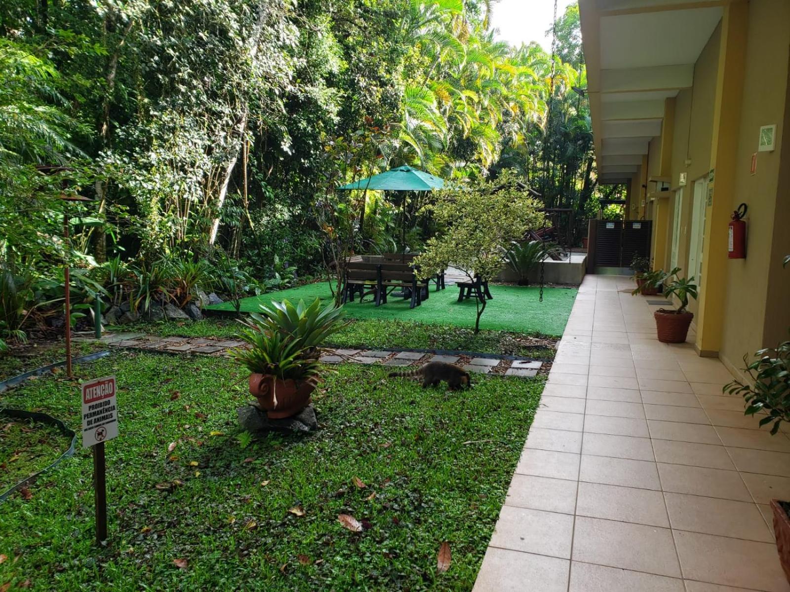 Apartment with Garden View photo 3