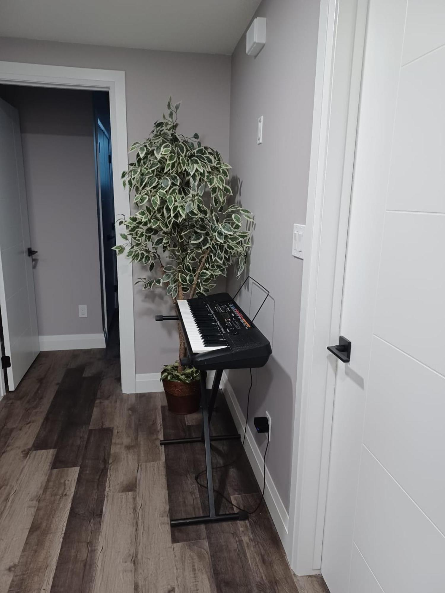 One-Bedroom Apartment photo 3