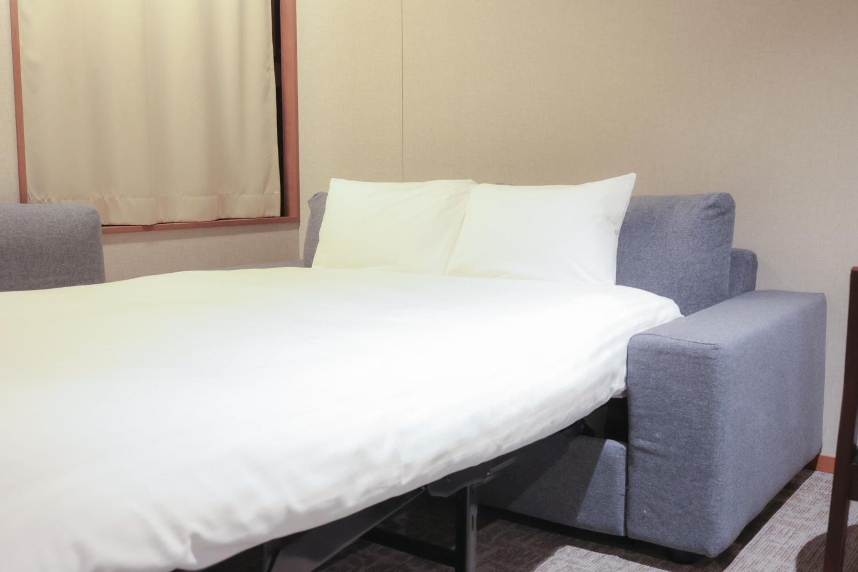 Premium Room - Photo 6