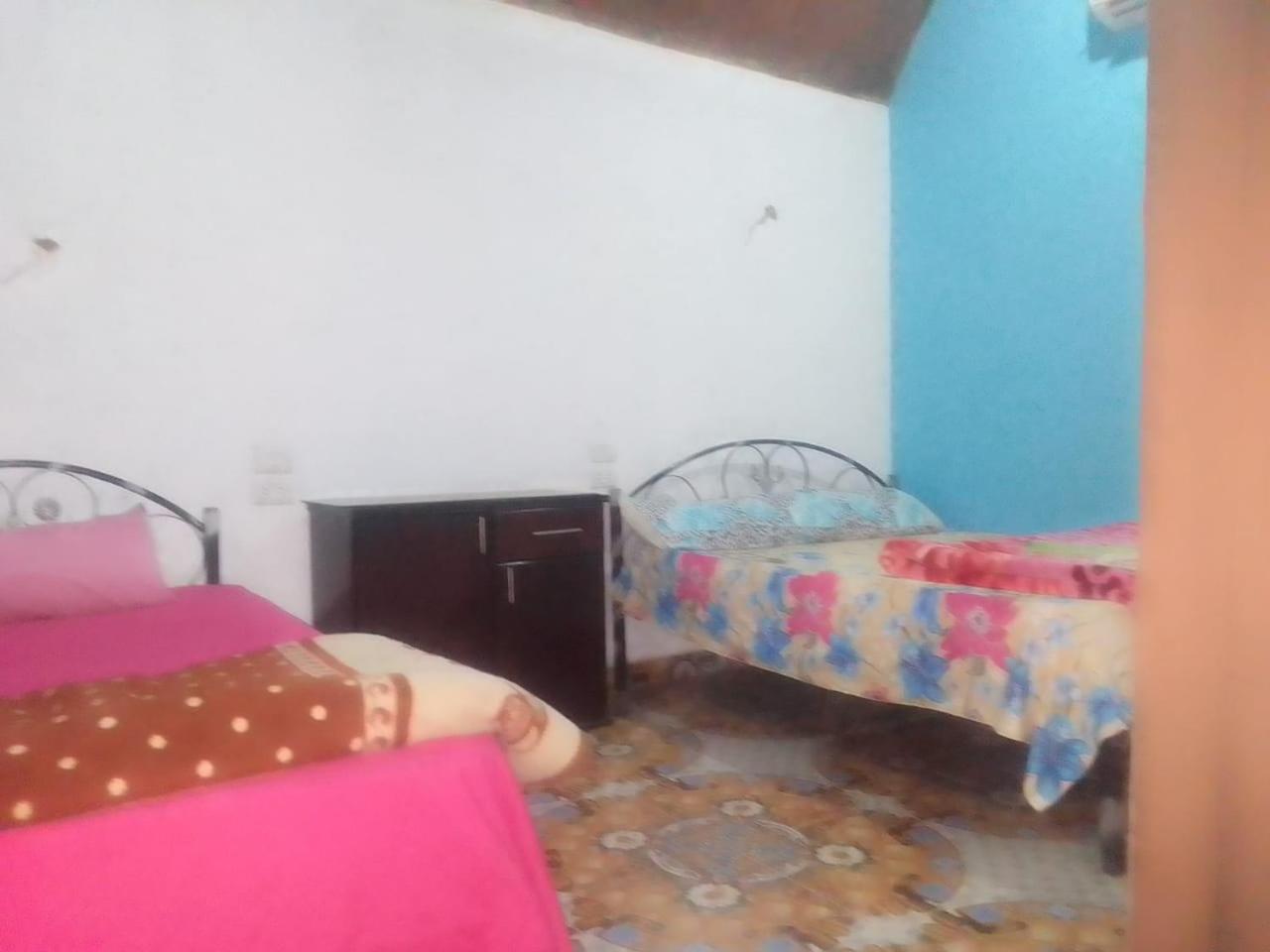 Large Double Room photo 3