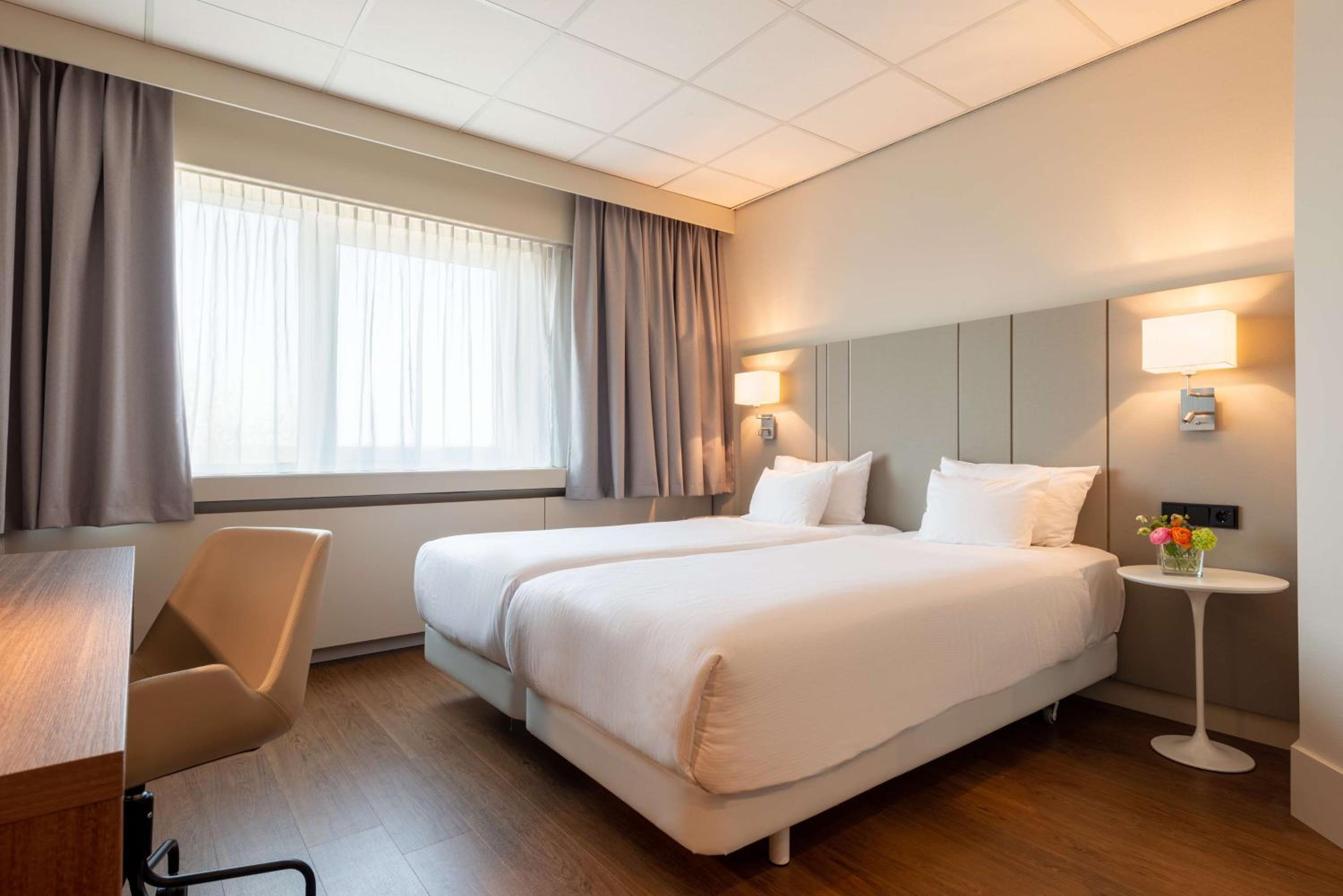 Superior Double or Twin Room - Photo 6