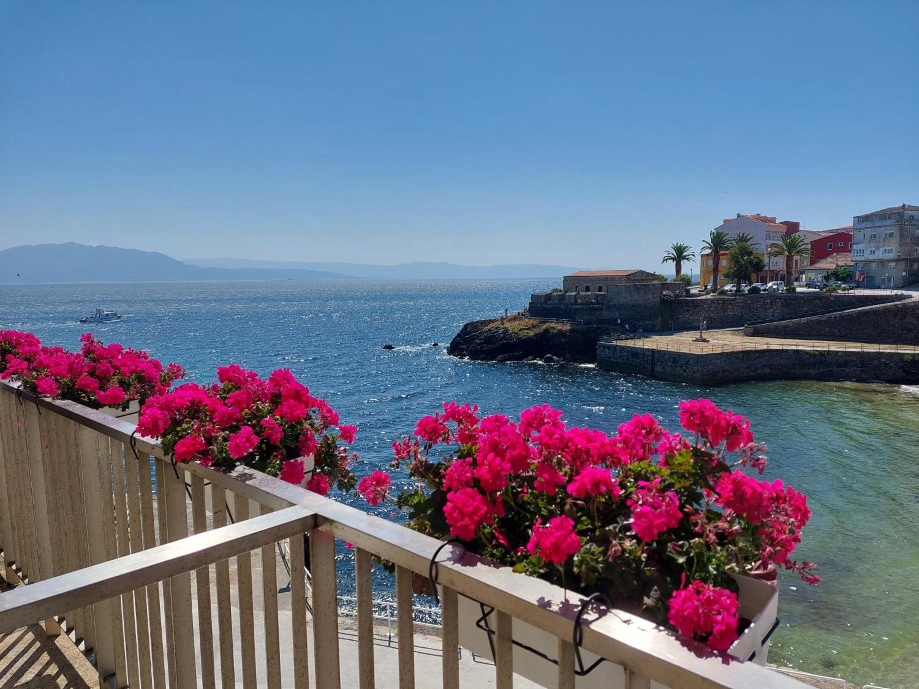 Double Room with Terrace