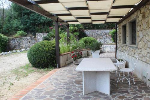 Studio with Terrace photo 1