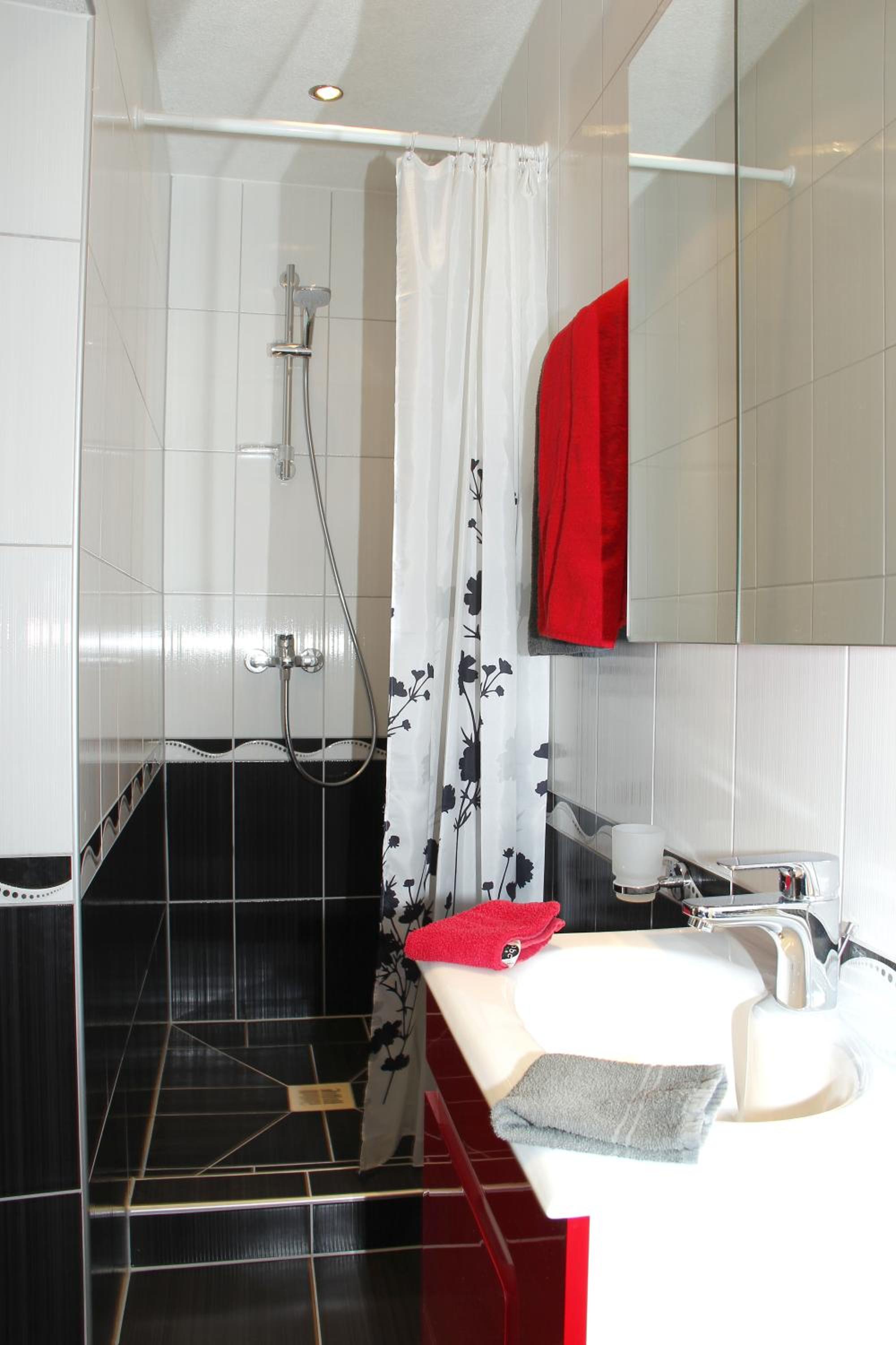 Two-Bedroom Apartment with Terrace photo 3