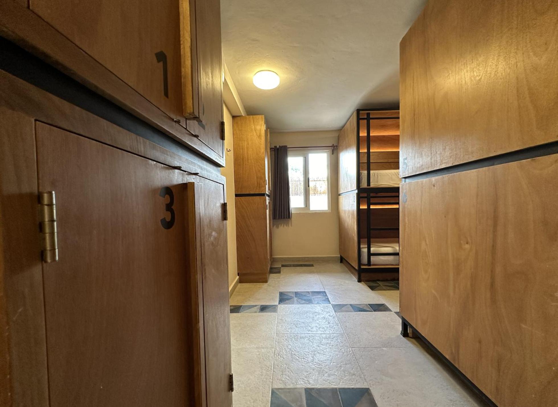 Bunk Bed In Mixed Dormitory Room photo 2