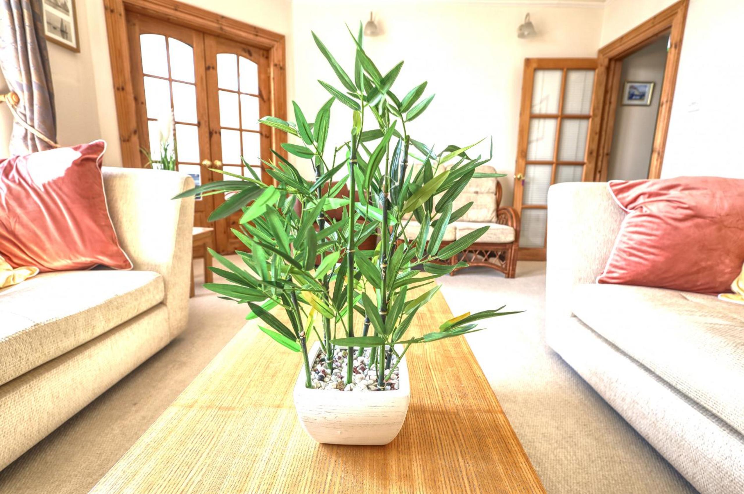Apartment With Sea View photo 3