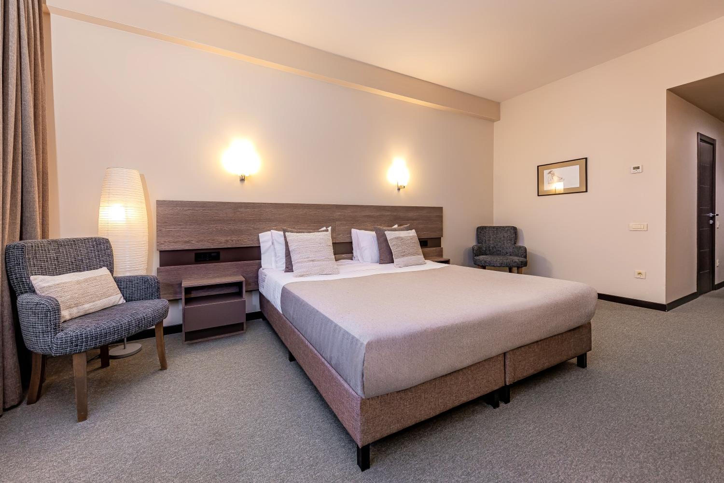 Deluxe Double or Twin Room with Mountain View photo 3