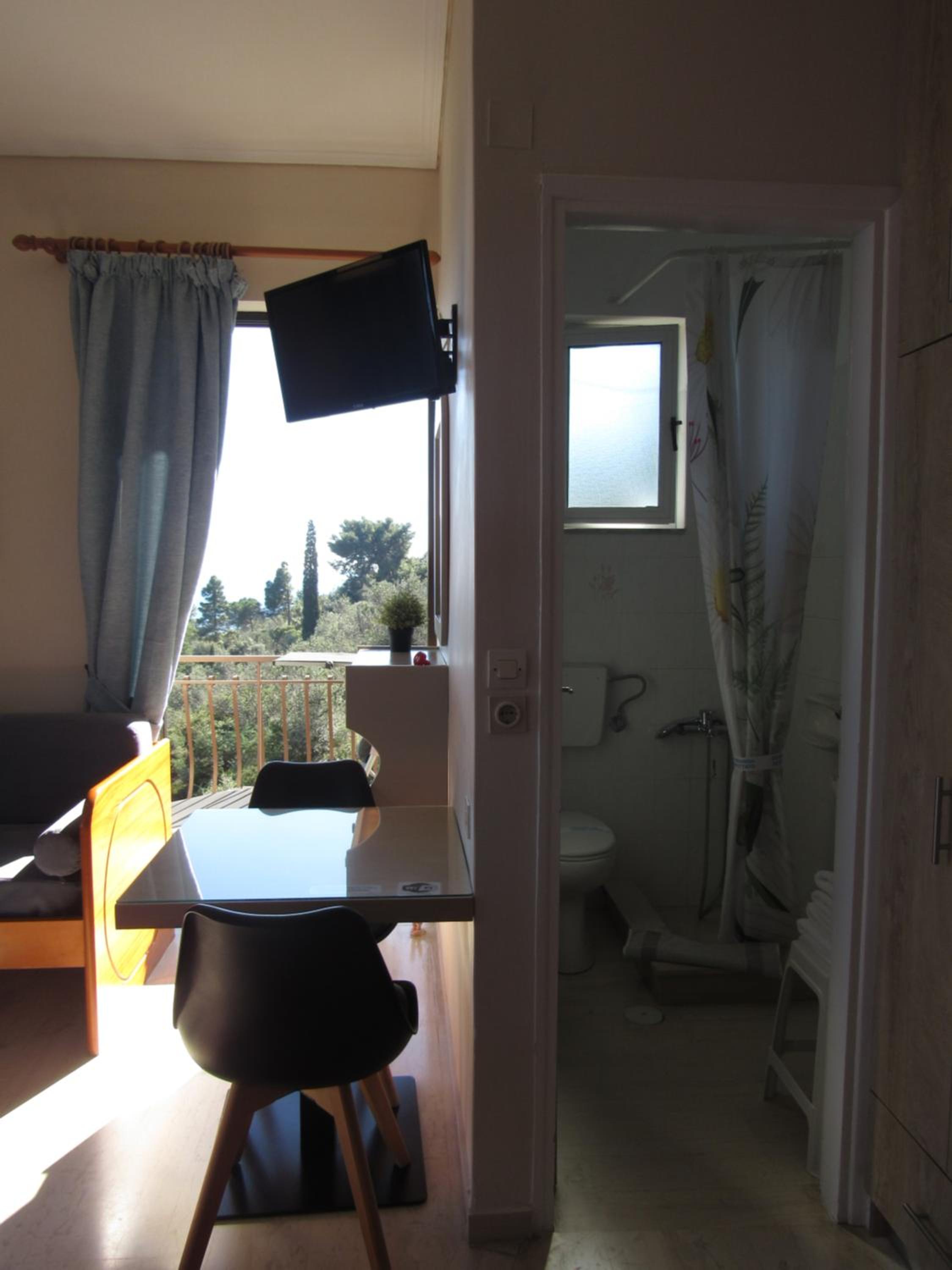 Studio with Sea View photo 2