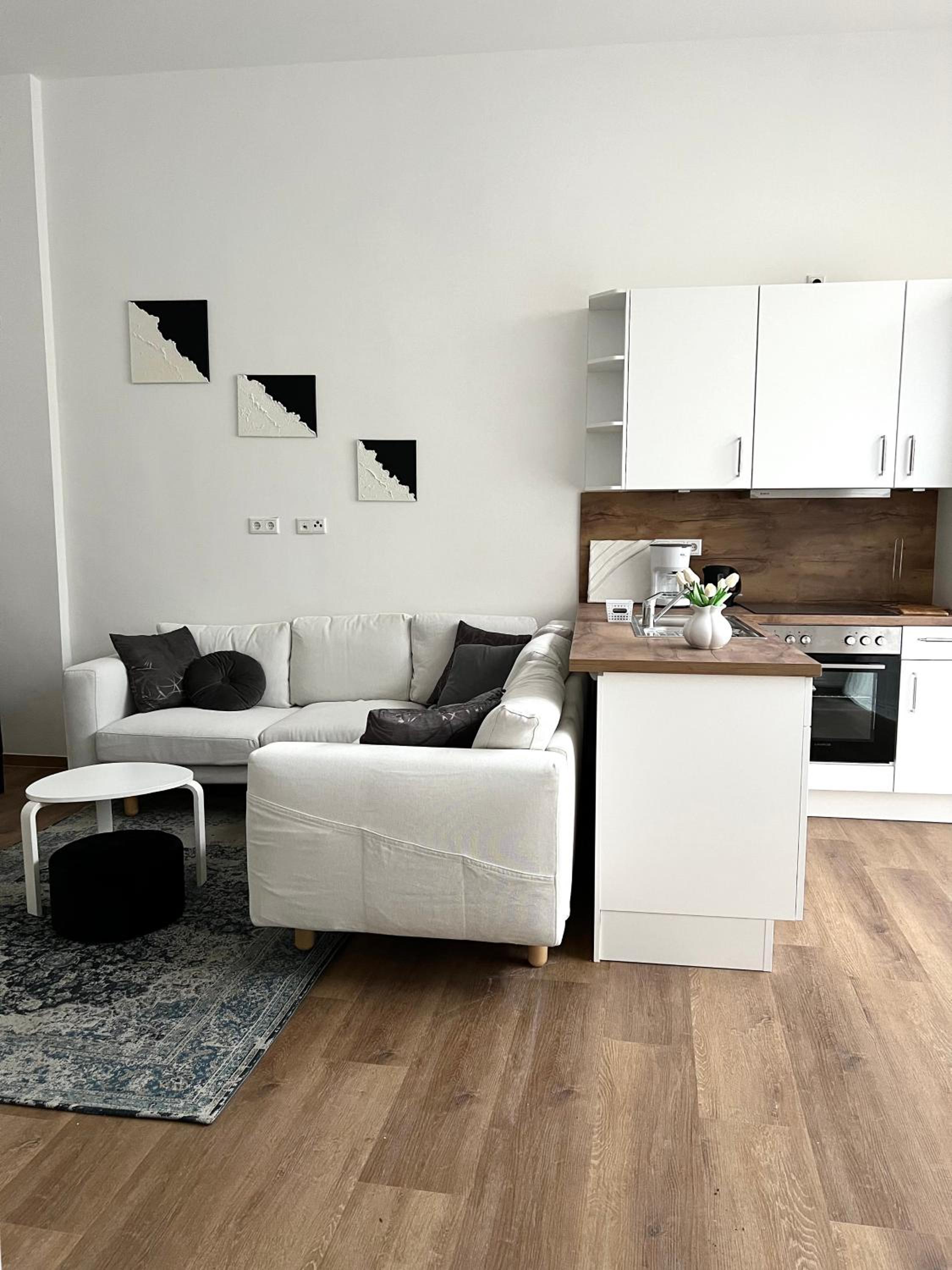 One-Bedroom Apartment photo 3