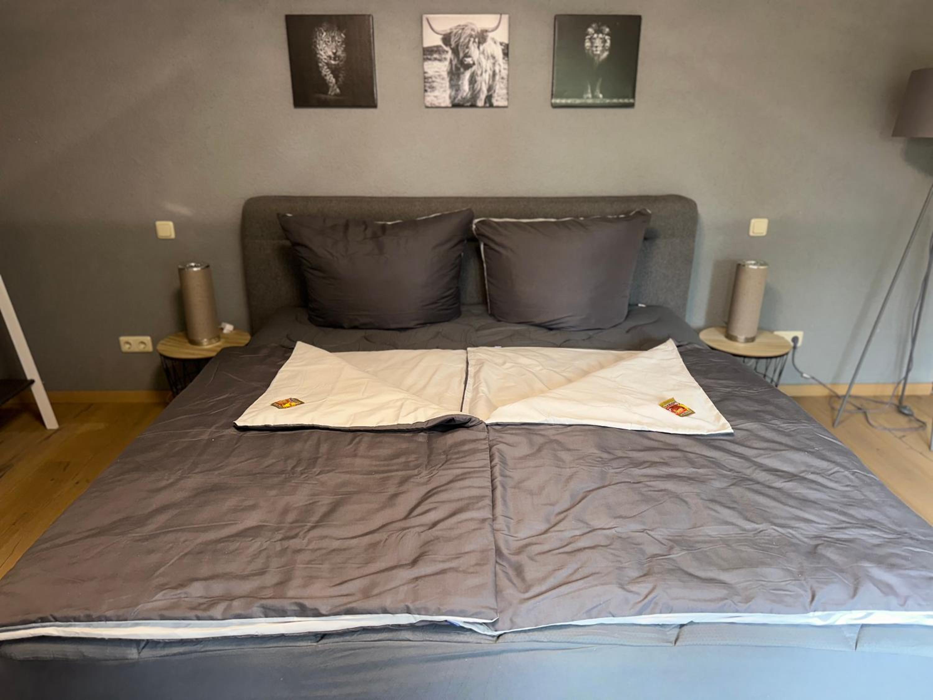 Double Room with Terrace photo 2