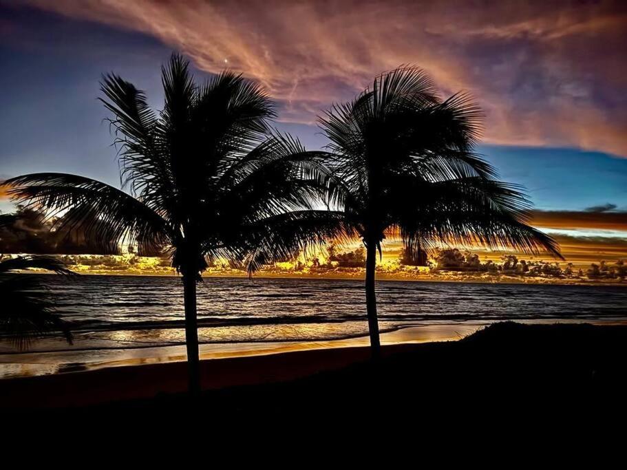 One-Bedroom House photo 3