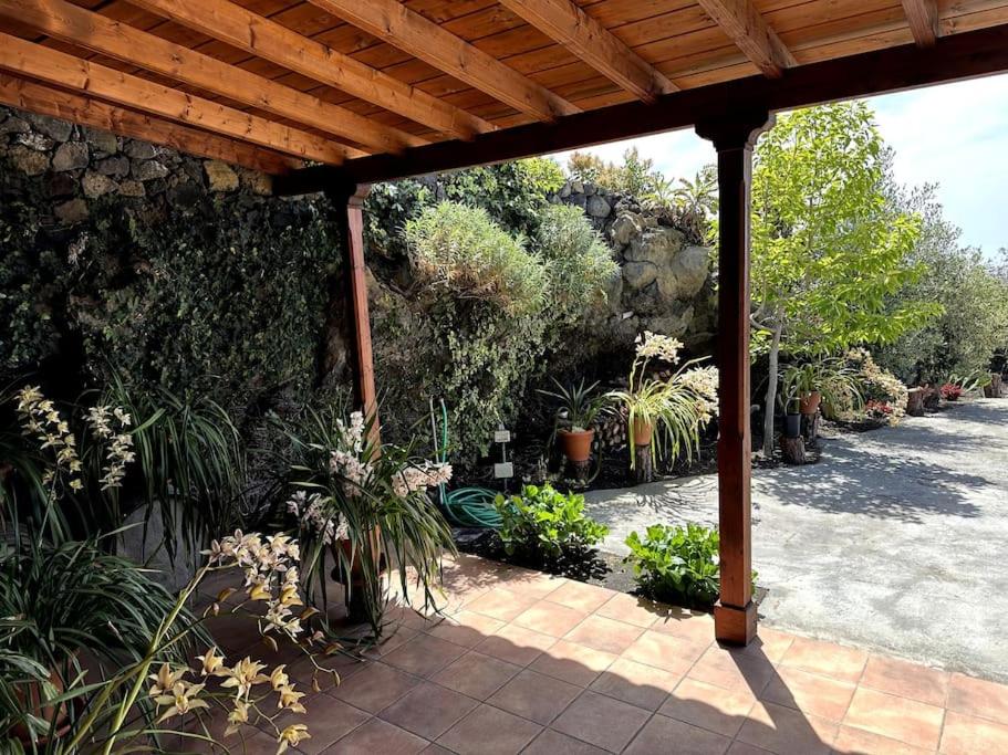 One-Bedroom House photo 2